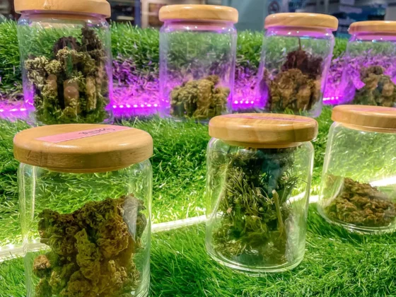 Keep Flavor Pure When Smoking Different Strains